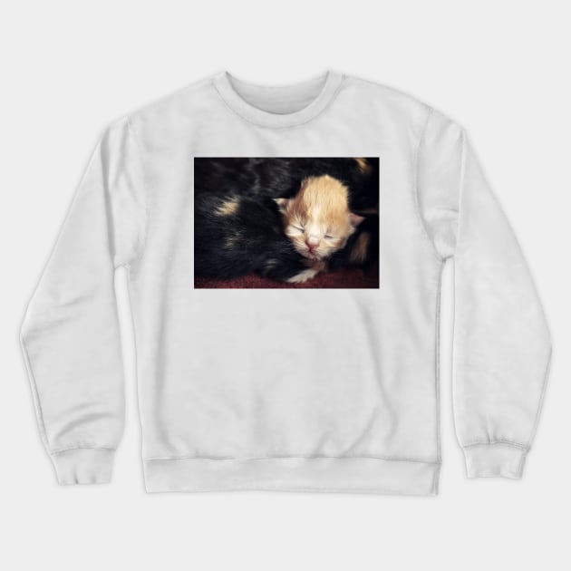 Cuteness!! Crewneck Sweatshirt by micklyn